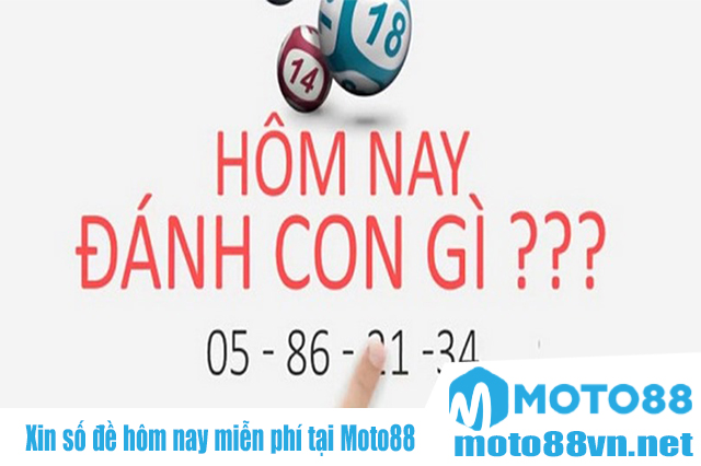 Xin số đề hôm nay miễn phí tại Moto88